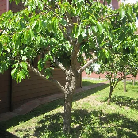 Casa De Madera *